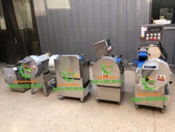 Máy thái rau củ quả dạng băng tải