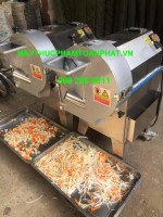 Máy thái rau củ quả công nghiệp