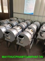 Máy thái rau củ quả công nghiệp