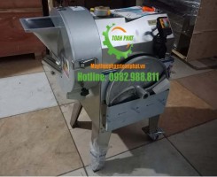 Máy thái lát thái sợi gừng công nghiệp