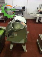 Máy thái rau củ quả SH-100