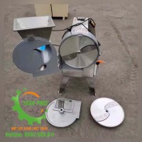 Máy thái rau củ quả YQC- 80/HE300/CHYD-180
