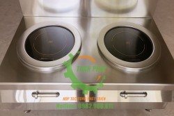 Bếp từ công nghiệp đôi mặt phẳng tròn