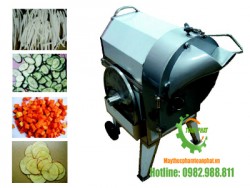 Máy thái rau củ quả YQC-180