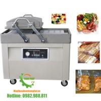 Máy hút chân không 2 buồng DZQ-500/2S