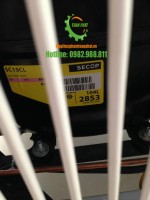 Bàn đông Toàn Phát