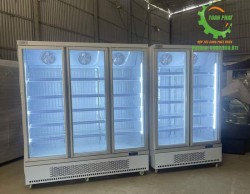Tủ đông 2 cánh kính