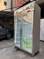Tủ mát 2 cánh kính Việt Nam sản xuất