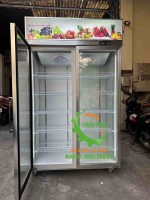 Tủ mát 2 cánh bảo quản hoa tươi