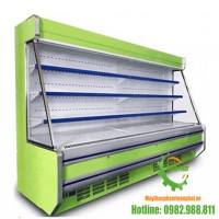 Tủ mát trưng bày rau củ quả