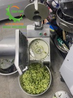 Mâm nhựa máy thái rau củ quả VC65, VC60