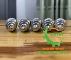 Ốc nắp đầu trục máy thái rau củ quả VC65, VC60