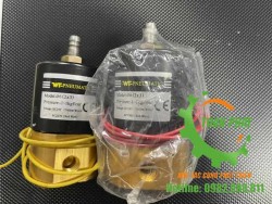 Van điện từ máy hút chân không DZQ500 1 buồng