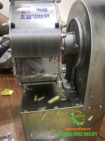 Máy thái rau củ quả mini