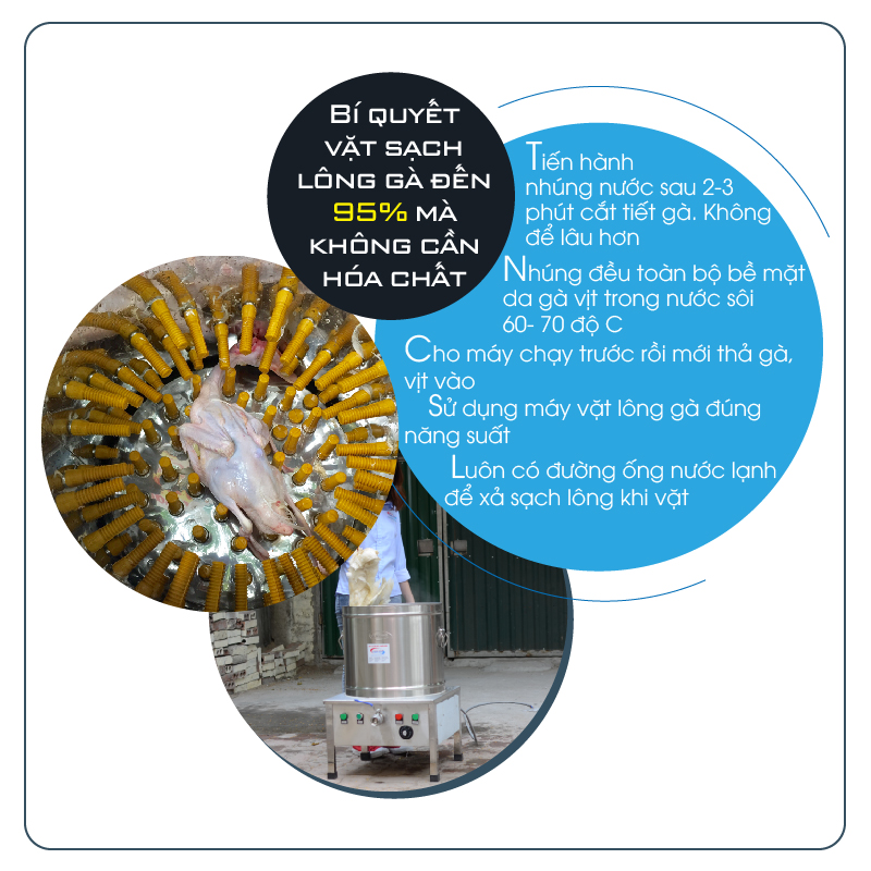 máy vặt lông gà