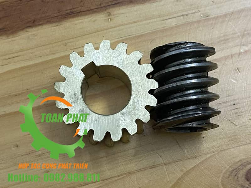 Bánh răng máy thái thịt QX260 bằng đồng