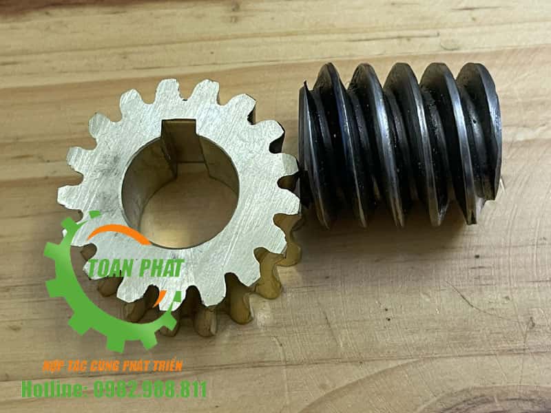 Bánh răng máy thái thịt QX260 bằng đồng