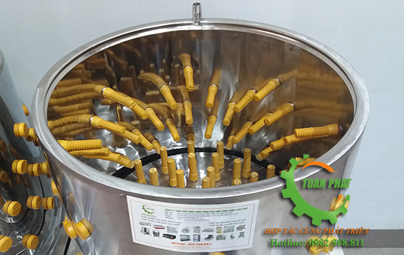 Núm cao su của máy vặt lông gà